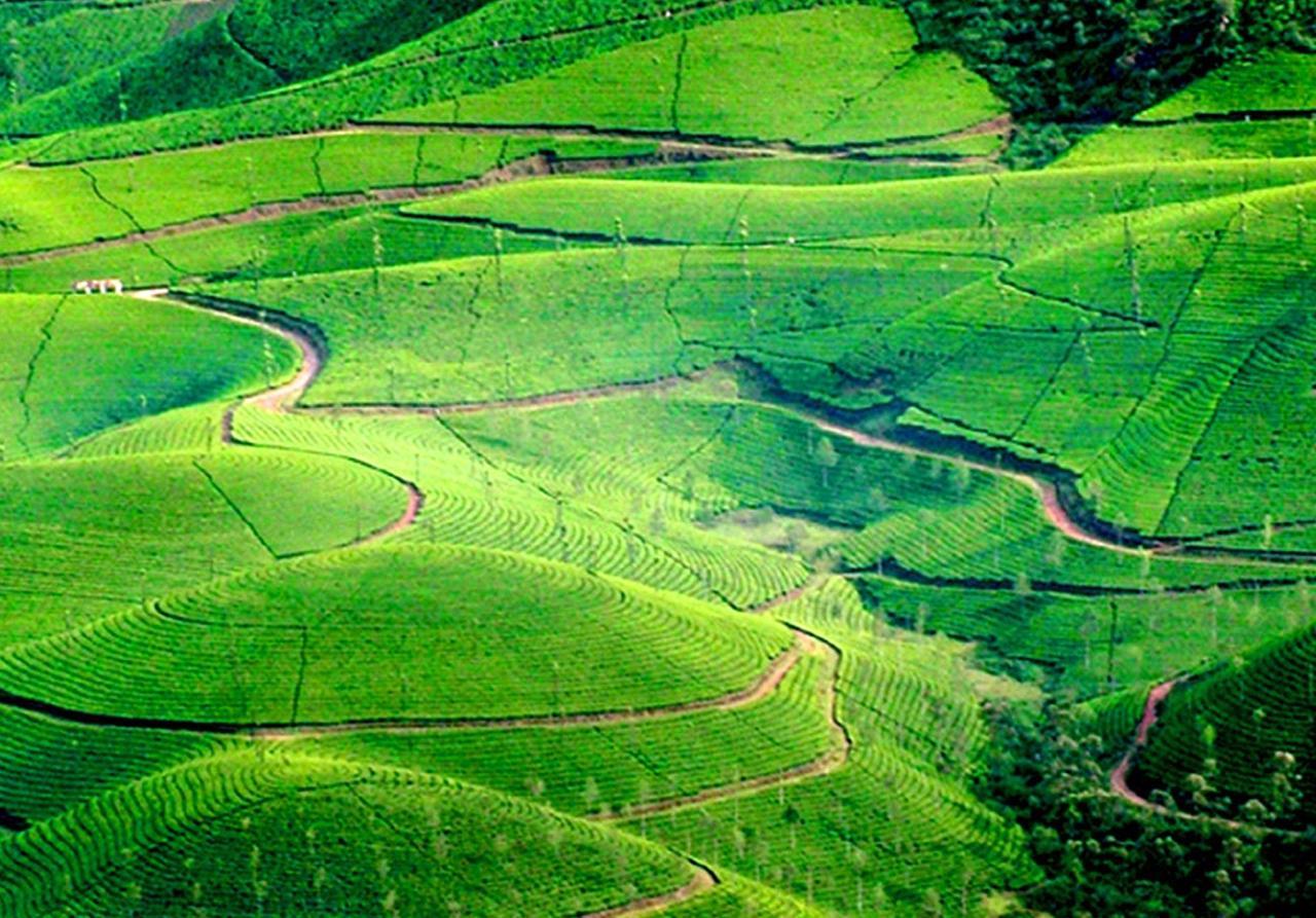 Viduthi Homestay Munnar Eksteriør bilde